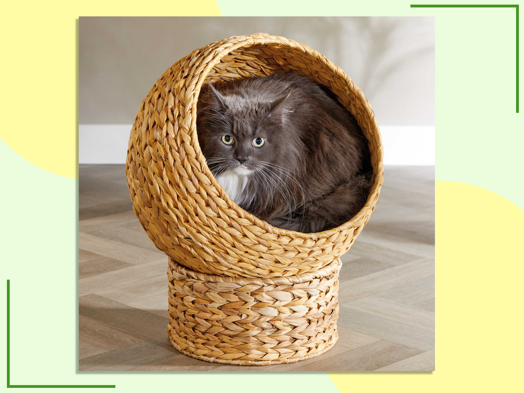 Cat discount egg chair